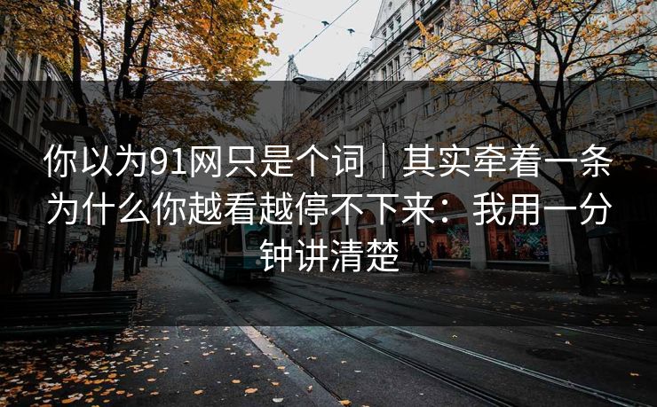 你以为91网只是个词｜其实牵着一条为什么你越看越停不下来：我用一分钟讲清楚