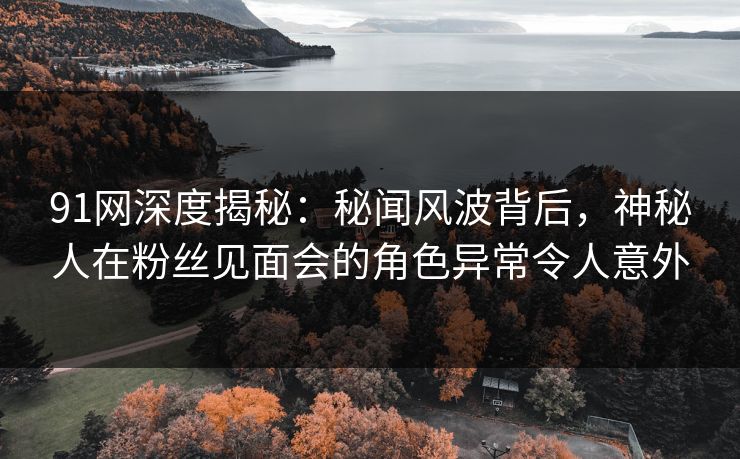 91网深度揭秘：秘闻风波背后，神秘人在粉丝见面会的角色异常令人意外