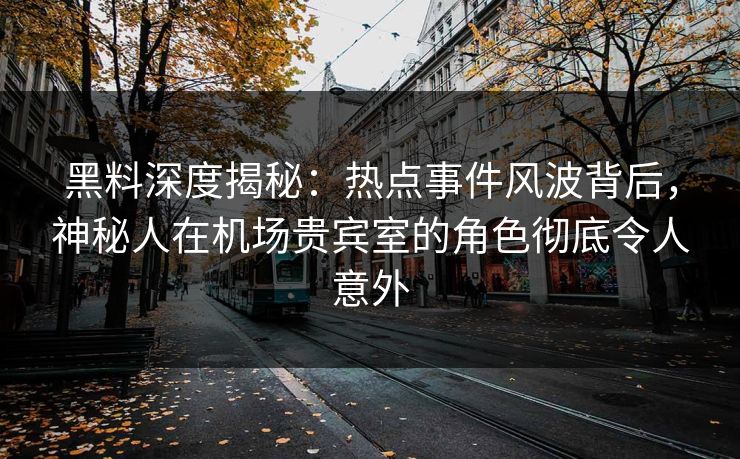 黑料深度揭秘：热点事件风波背后，神秘人在机场贵宾室的角色彻底令人意外
