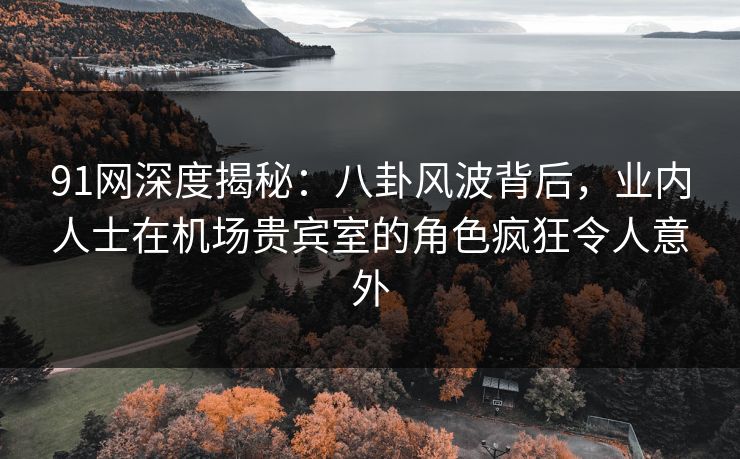 91网深度揭秘：八卦风波背后，业内人士在机场贵宾室的角色疯狂令人意外