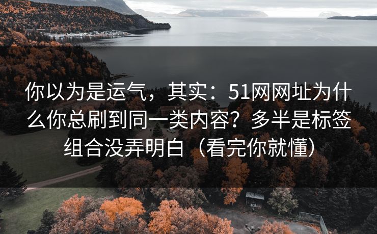 你以为是运气，其实：51网网址为什么你总刷到同一类内容？多半是标签组合没弄明白（看完你就懂）